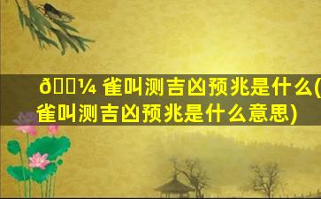 🐼 雀叫测吉凶预兆是什么(雀叫测吉凶预兆是什么意思)